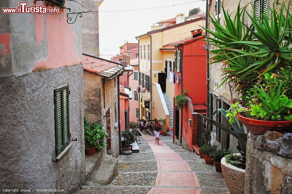 Immagine Un tipico vicolo in pietra nel villaggio di Tellaro, La Spezia, Italia. Le origini del borgo risalirebbero attorno al 1320/1380 in seguito anche allo spopolamento del vicino paese di Barbazzano a causa dell'epidemia di peste del 1348 - © iryna1 / Shutterstock.com