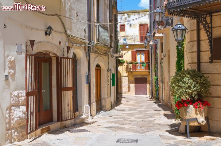 Immagine Un tipico vicolo nel centro della cittadina di Altamura, Puglia. Meta di numerosi visitatori, Altamura è nota soprattutto per il suo patrimonio archeologico e per le bellezze architettoniche del centro storico - © Mi.Ti. / Shutterstock.com