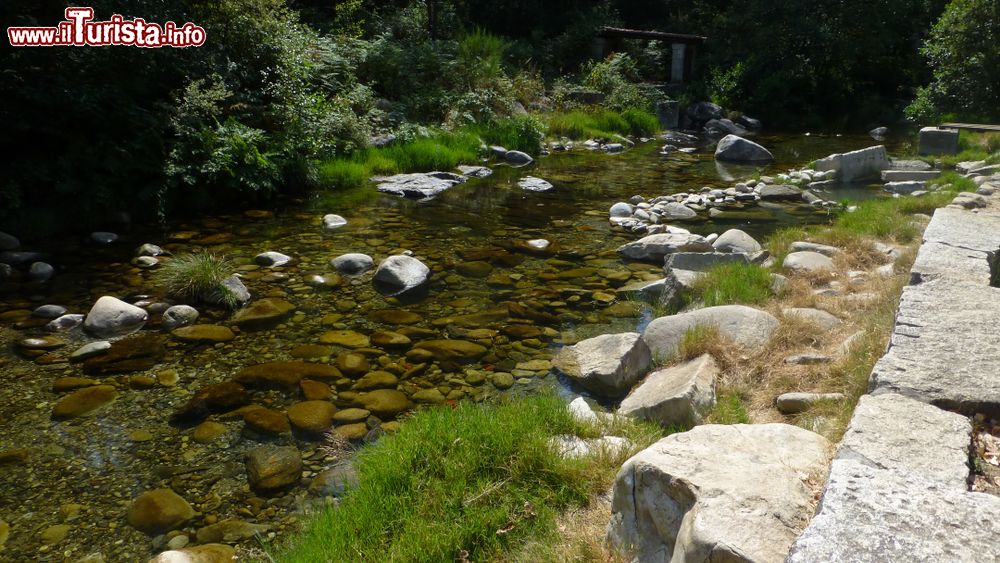 Immagine Un torrente dall'acqua limpida nei pressi della campagna di Ribadavia, Spagna.