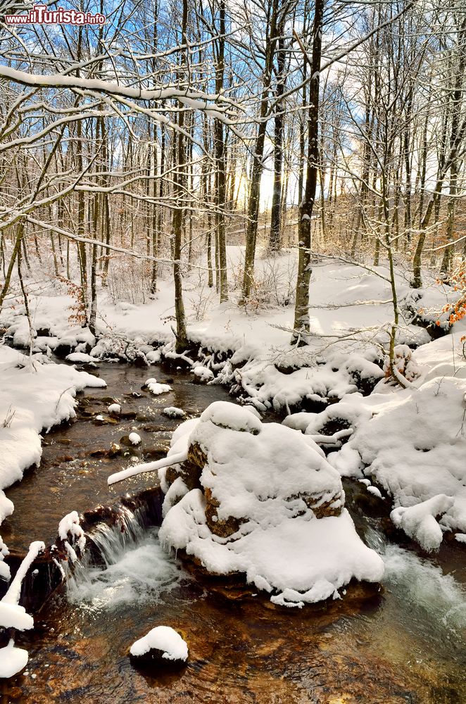 Immagine Un torrente del PArco Nazionale delle Foreste Casentinesi, zona del Monte Falco, Romagna