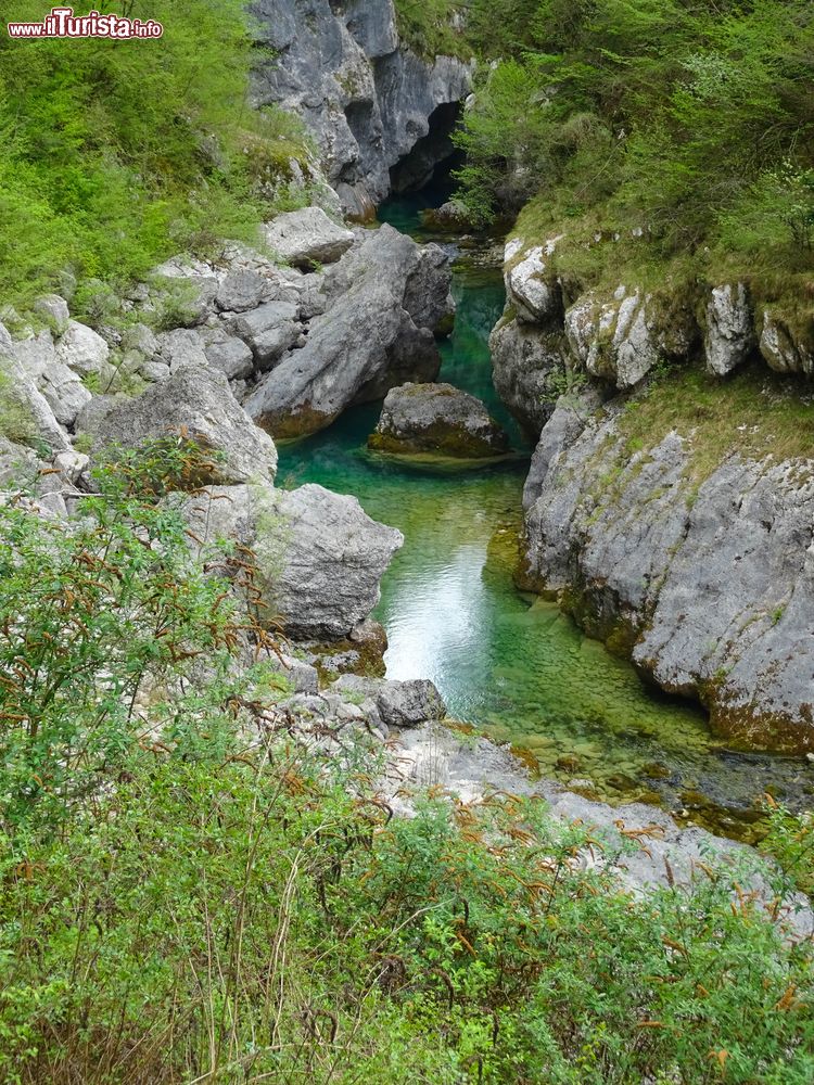 Immagine Un torrente di montagna nella zona di Claut in Friuli, Val di Cellina
