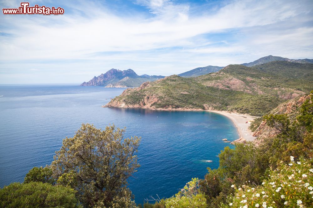 Immagine Un tratto del litorale roccioso nei pressi della città di Porto, Corsica.