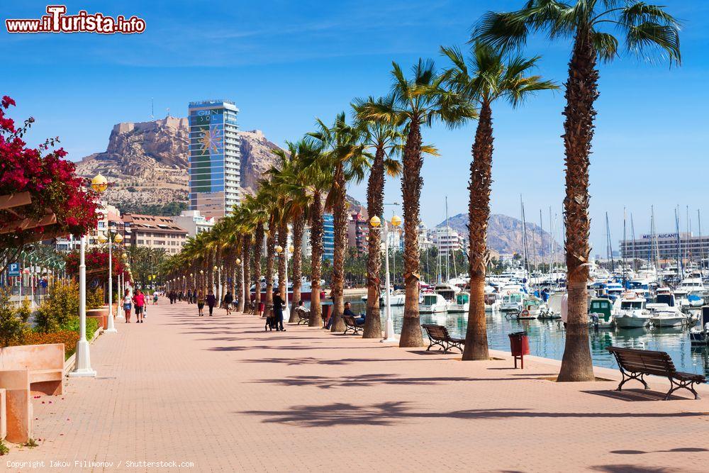 Immagine Un tratto del lungomare di Alicante fotografato di giorno, Spagna - © Iakov Filimonov / Shutterstock.com