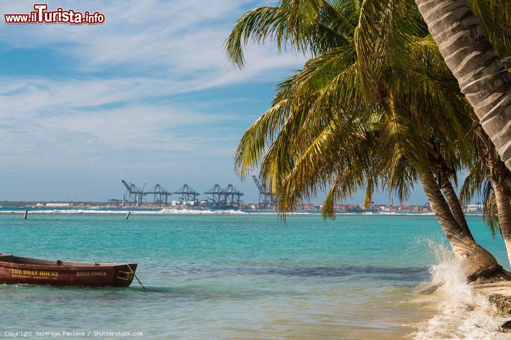 Immagine Un tratto della costa di Boca Chica nella Repubblica Dominicana con una palma sulla spiaggia e una barca ormeggiata - © Valeriya Pavlova / Shutterstock.com