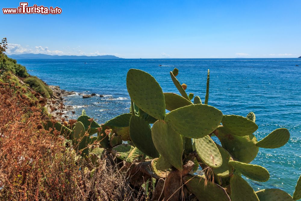 Immagine Un tratto della costa di Piombino, Toscana. Conosciuta anticamente come porto di Falesia, Piombino è protesa nel mare su un suggestivo promontorio di fronte alle isole dell'arcipelago toscano.
