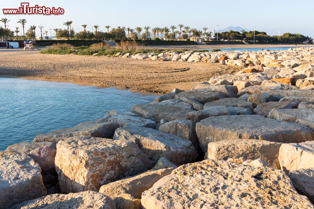Immagine Un tratto della costa rocciosa con sabbia e palme a Vinaros, Spagna. Questa graziosa località si affaccia sul mare della Spagna Orientale.