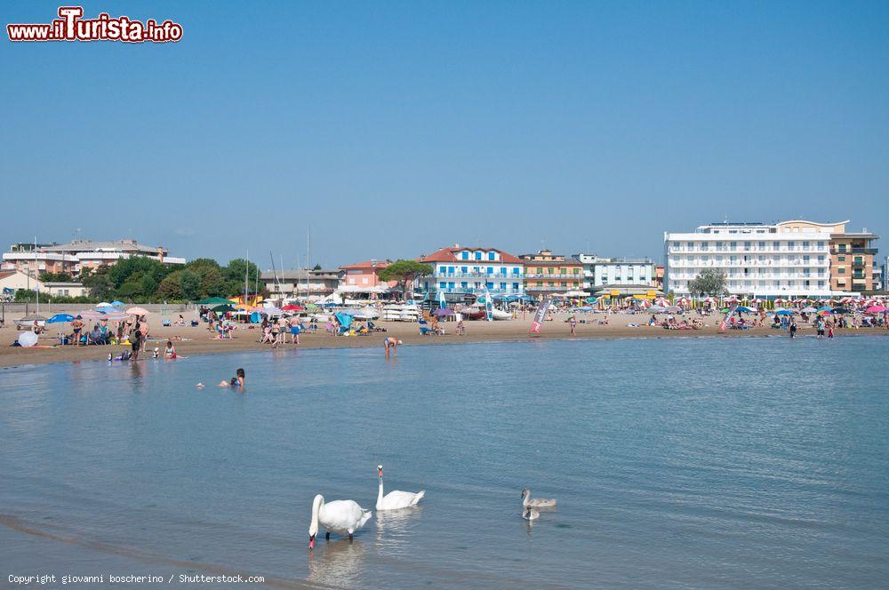 Immagine Un tratto della spiaggia di Caorle, Veneto. Agli appassionati di mare, questa località offre 250 strutture alberghiere, villaggi turistici, campeggi e un migliaio di posti barca distribuiti nelle due darsene - © giovanni boscherino / Shutterstock.com