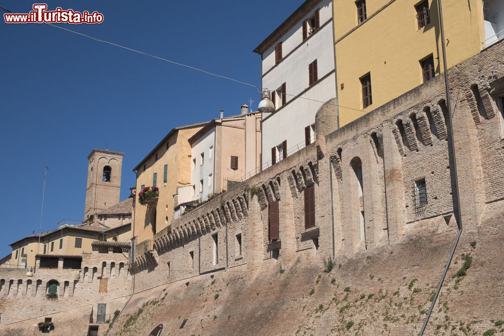 Le foto di cosa vedere e visitare a Jesi