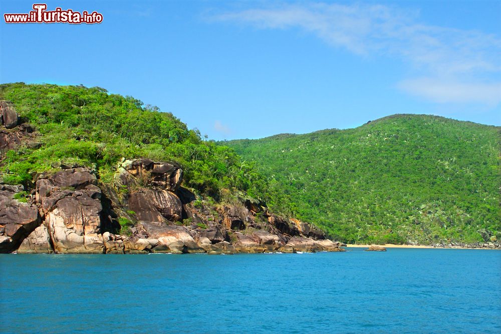 Immagine Un tratto di costa incontaminata vicino a Port Douglas, Australia.