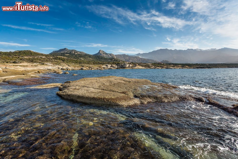 Immagine Un tratto di costa nei pressi di Lumio, regione della Balagna, Corsica. Siamo a Punta del Caldanu. 