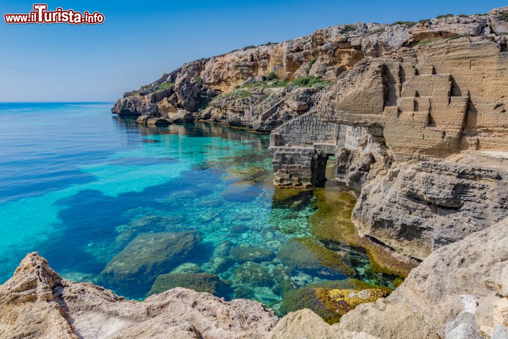 Immagine Un tratto di costa rocciosa a Favignana, Isole Egadi (Sicilia)
