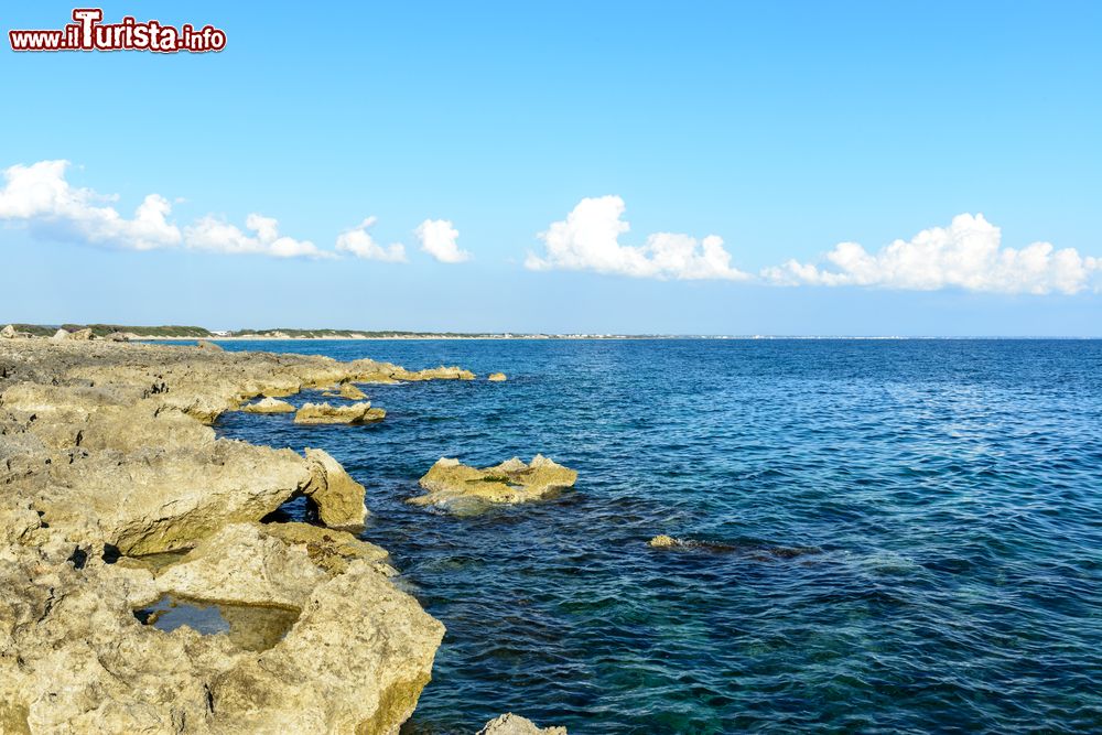 Immagine Un tratto di costa rocciosa a Punta Prosciutto in Salento, Puglia