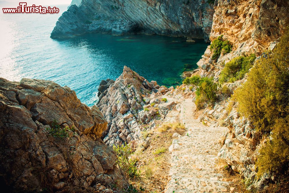 Immagine Un tratto di costa selvaggia a Sipan, isole Elafiti della Dalmazia, Croazia