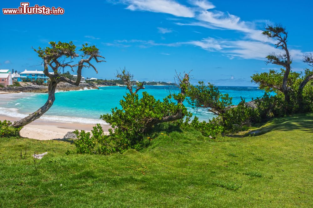 Immagine Un tratto di litorale a Bermuda con spiagge deserte e acqua color verde smeraldo. Il territorio è ricoperto da una vegetazione lussureggiante grazie alle frequenti piogge e alla fertilità del suolo.