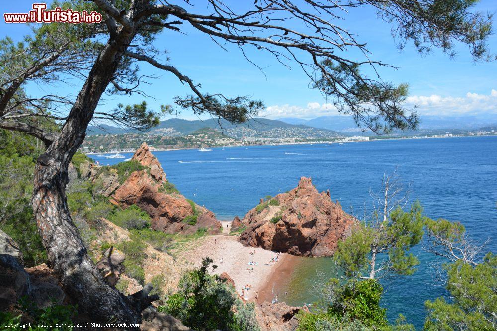 Immagine Un tratto di litorale visto dall'alto fra la vegetazione a Théoule-sur-Mer, Francia - © Pascal Bonnecaze / Shutterstock.com