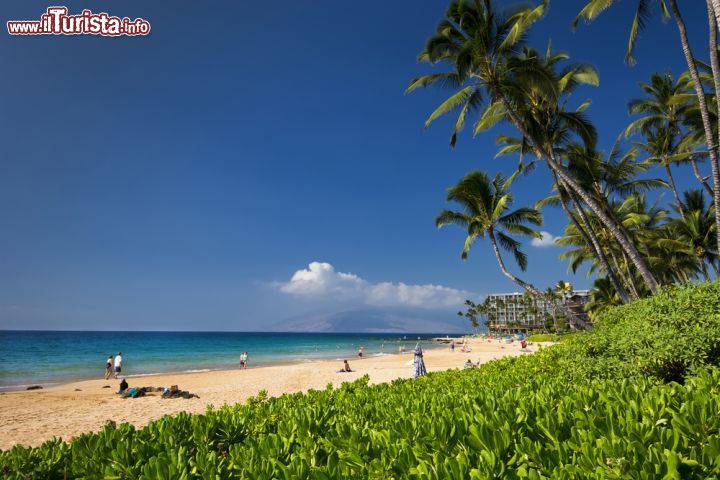 Immagine Un tratto di spiaggia di Keawakapu, Kihei, Hawaii. La barriera corallina che si trova davanti a questa spiaggia è perfetta per fare snorkeling e rimanere incantati dai colori dei fondali.