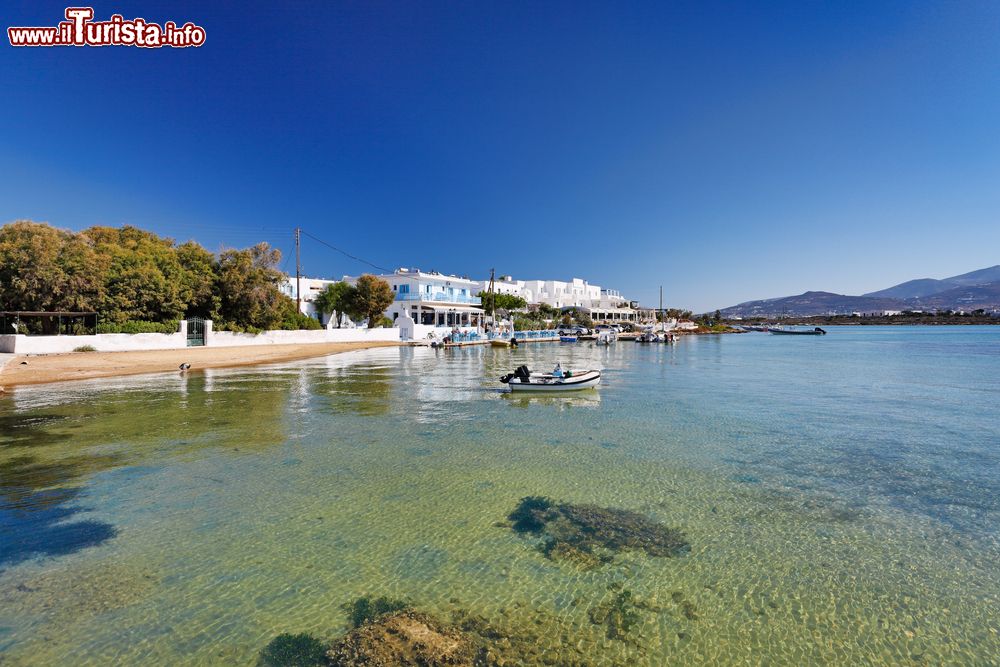 Immagine Un tratto di spiaggia sabbiosa al porto di Antiparos, isola dele Cicladi (Grecia).