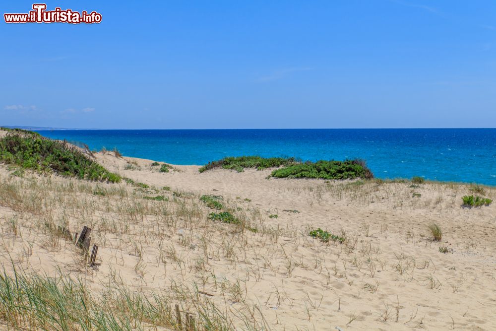 Le foto di cosa vedere e visitare a Grndola