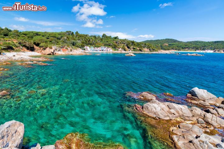 Immagine Un tratto spettacolare di mare: siamo nella celebre Costa Brava in Catalogna (Spagna) - © Digoarpi / Shutterstock.com