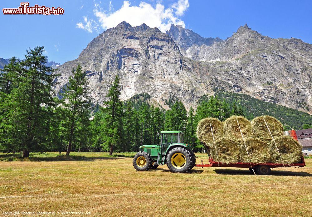 Immagine Un trattore della John Deere al lavoro nei campi di Morgex, Valle d'Aosta, Italia. John Deere è un'azienda americana fra le principali produttrici di macchinari agricoli - © Arsenie Krasnevsky / Shutterstock.com