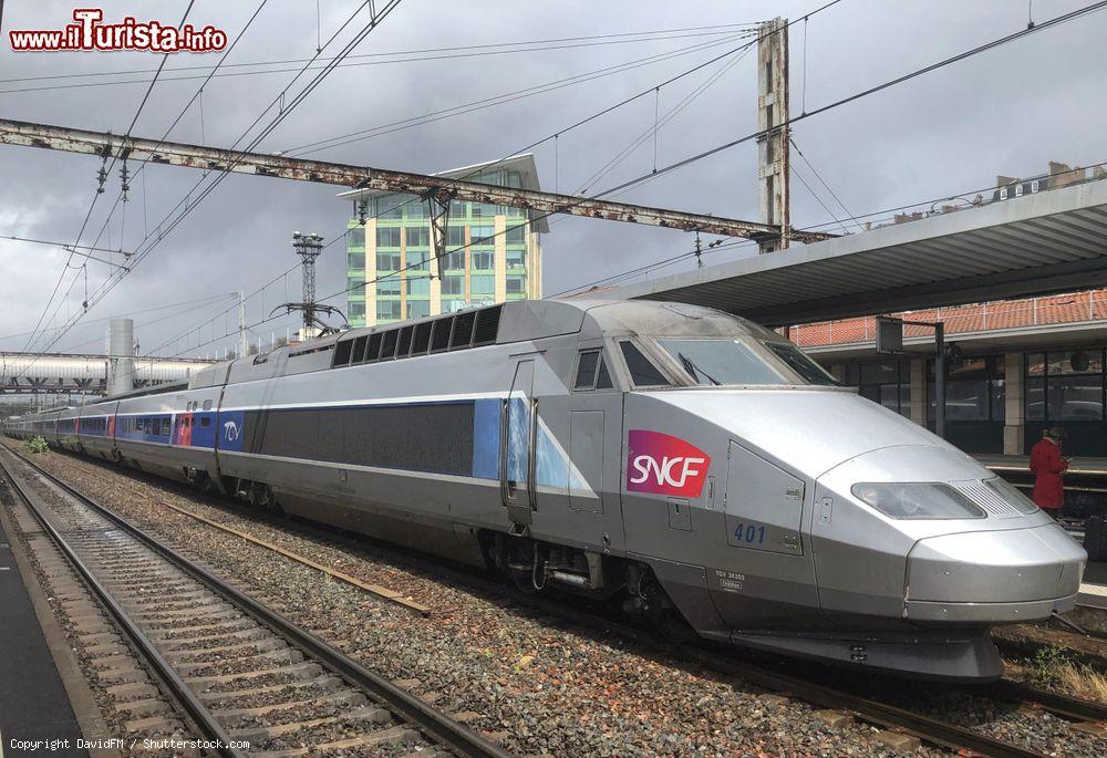 Immagine Un treno TGV fermo alla stazione di Poitiers e diretto a La Rochelle, Francia. Qui in sosta per via degli alberi caduti sui binari durante l'uragano Miguel - © DavidFM / Shutterstock.com