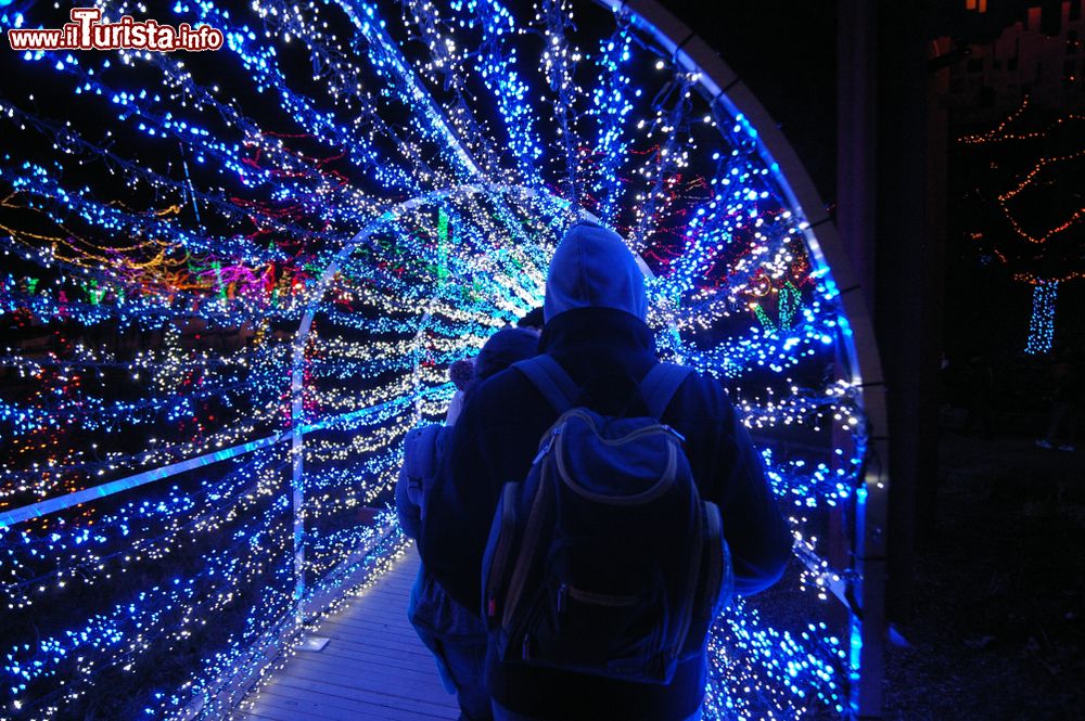 Immagine Un tunnel luminoso allestito in occasione del Natale nella città di Indianapolis, Indiana (USA).