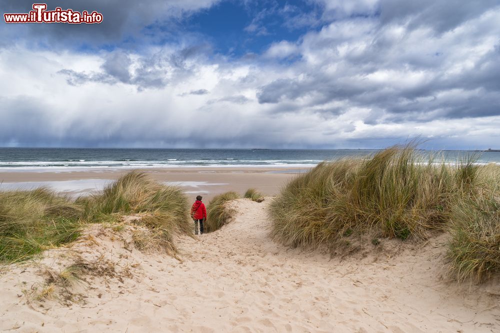 Immagine Un turista sulla costa del  Northumberland vicino a Bamburgh in Inghilterra