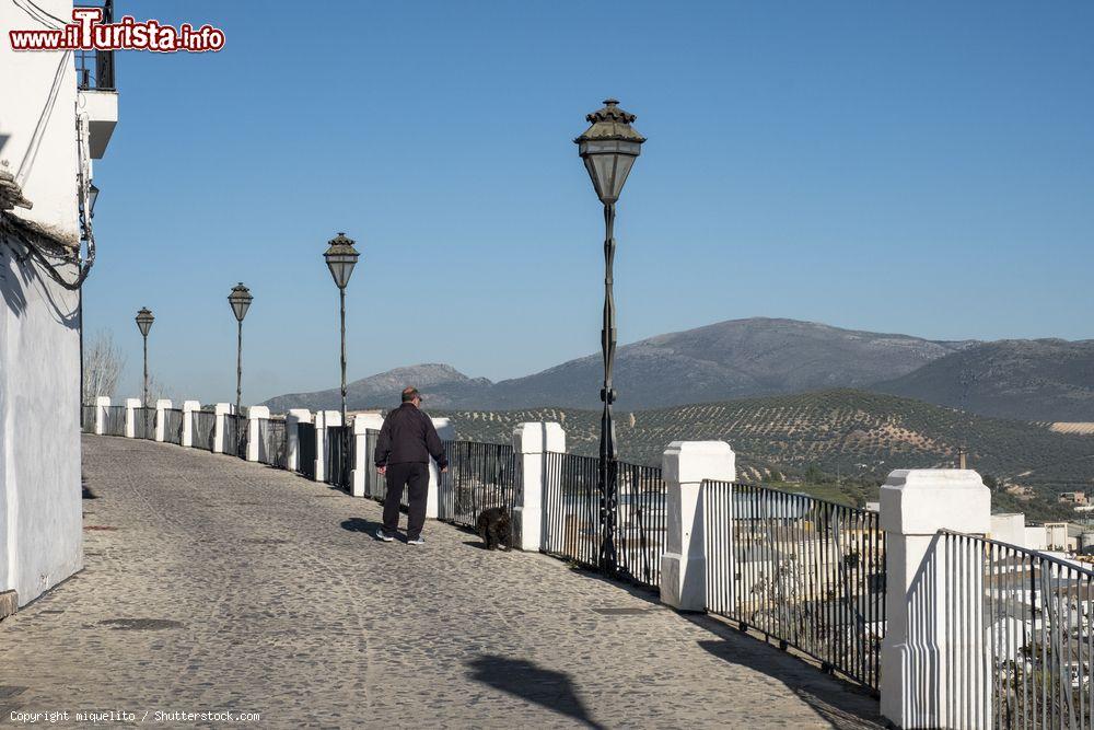 Immagine Un uomo a spasso con il cane nel centro di Priego de Cordoba, Spagna - © miquelito / Shutterstock.com