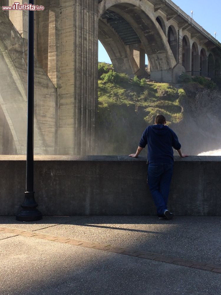 Immagine Un uomo guarda il paesaggio dal Maple Street Bridge a Spokane, Washington, Stati Uniti d'America. Inaugurato il 1° luglio 1958, questo ponte da 6 milioni di dollari si estende su Peaceful Valley e lungo il fiume Spokane.