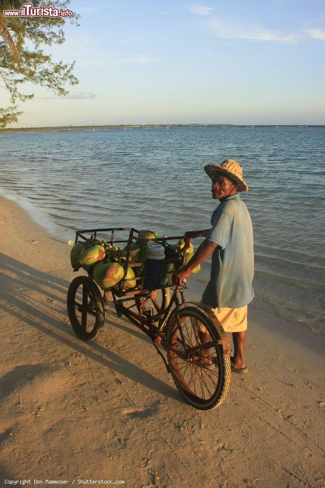 Immagine Un uomo vende noci di cocco sulla spiaggia di Boca Chica, Repubblica Dominicana - © Don Mammoser / Shutterstock.com