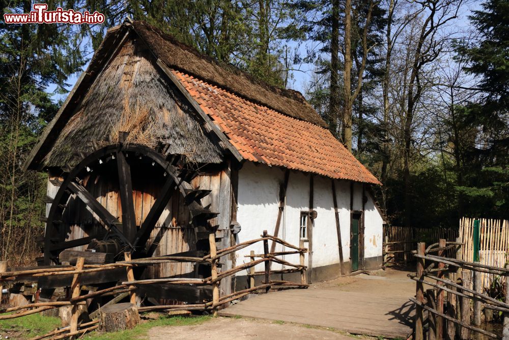 Immagine Un vecchio mulino ad acqua nella cittadina di Bokrijk, vicino a Hasselt, Belgio.