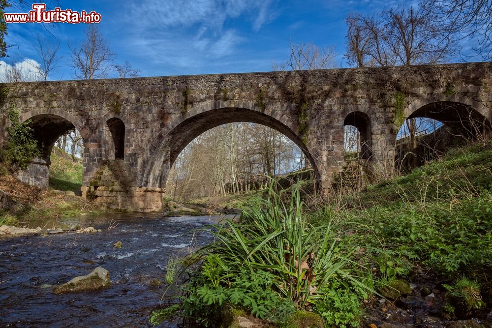 Immagine Un vecchio ponte in pietra sul fiume Fluvia a Olot, Catalogna, Spagna.