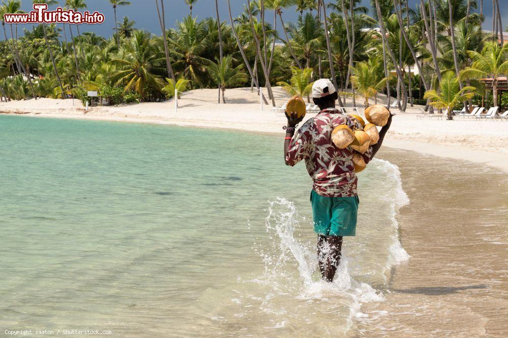 Immagine Un venditore di cocco sulla spiaggia di Juan Dolio in Repubblica Dominicana - © saaton / Shutterstock.com