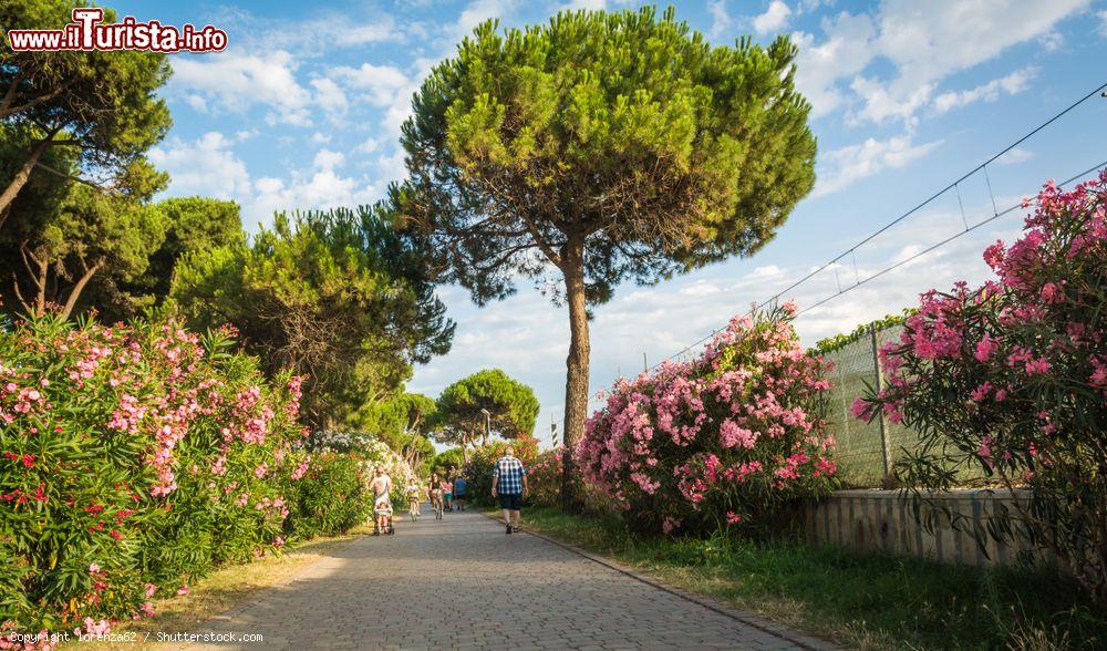 Immagine Un viale con fiori e piante nel centro di Roseto degli Abruzzi, Teramo - © lorenza62 / Shutterstock.com