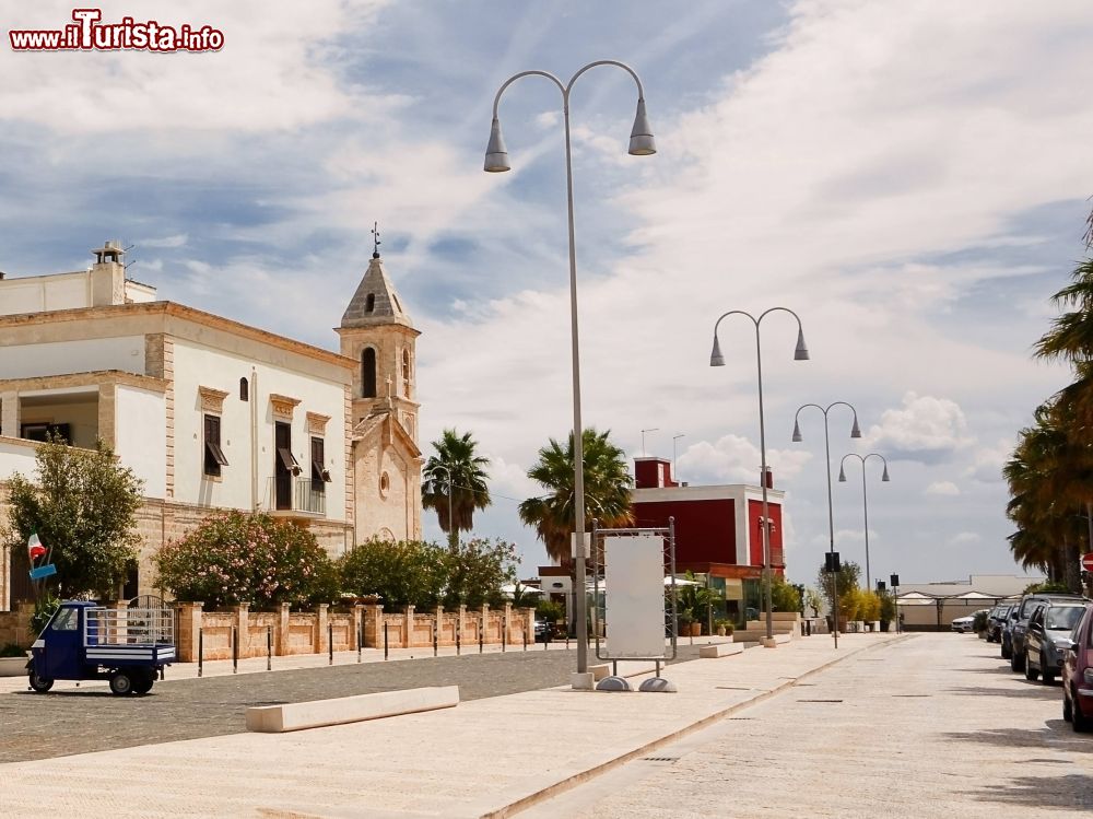 Immagine Un viale di Savelletri in Puglia