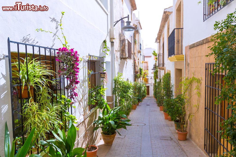 Immagine Un vicoletto con fiori nel centro storico di Javea, Spagna.