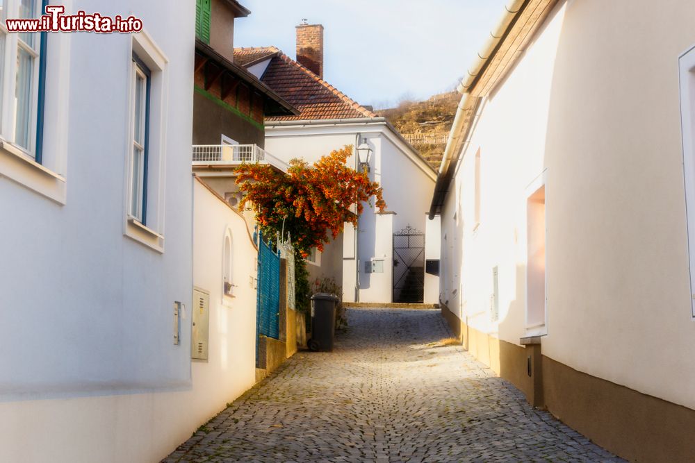 Immagine Un vicoletto con pavimentazione ciottolata nel distretto di Stein an der Donau, Krems, Bassa Austria.