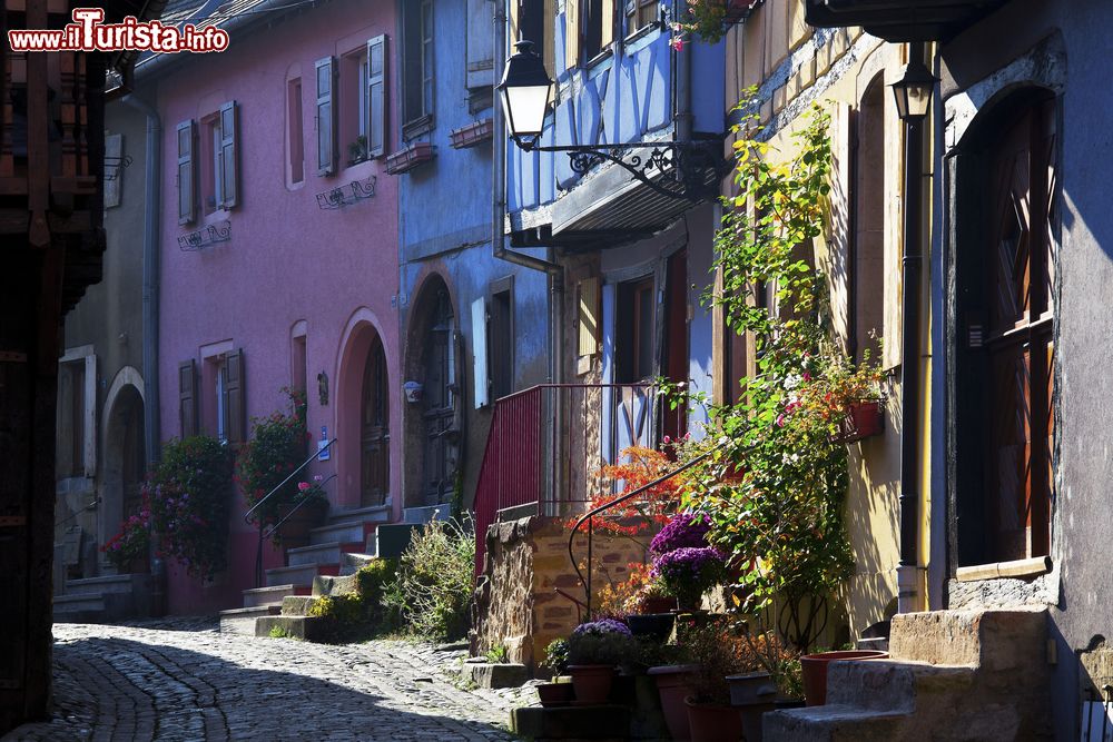 Immagine Un vicolo con case colorate nel centro di Eguisheim, Alsazia, Francia.