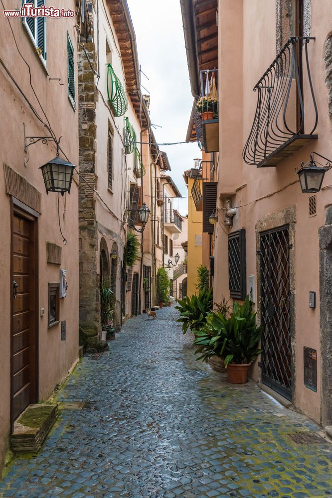Immagine Un vicolo del borgo antico di Trevignano Romano, Lazio. Questo grazioso centro è perfetto per rilassarsi andando alla scoperta dei suoi scorci più suggestivi.