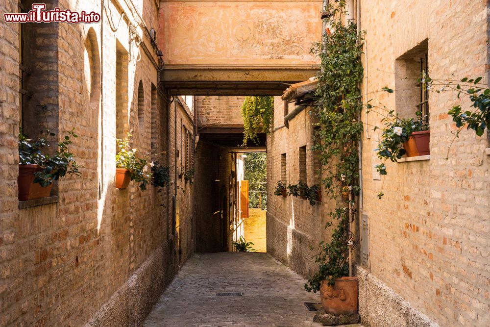 Immagine Un vicolo del centro storico di Recanati, Marche: gli antichi edifici, con le facciate abbellite da fiori e piante, si affacciano sulla viuzza dalla pavimentazione acciottolata.