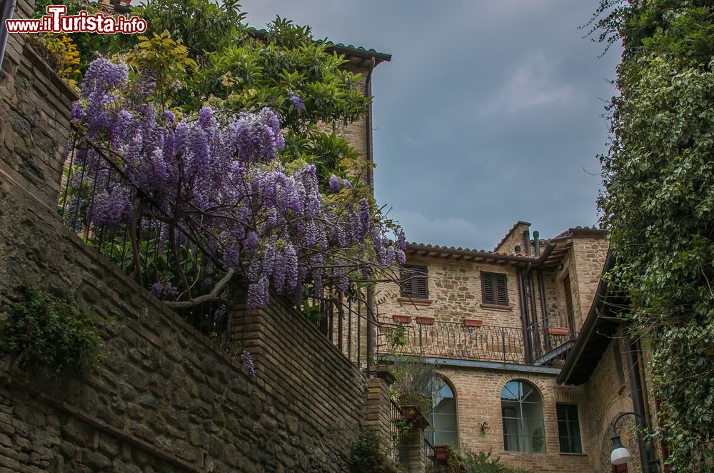 Immagine Un vicolo nel centro di Bettona in Umbria