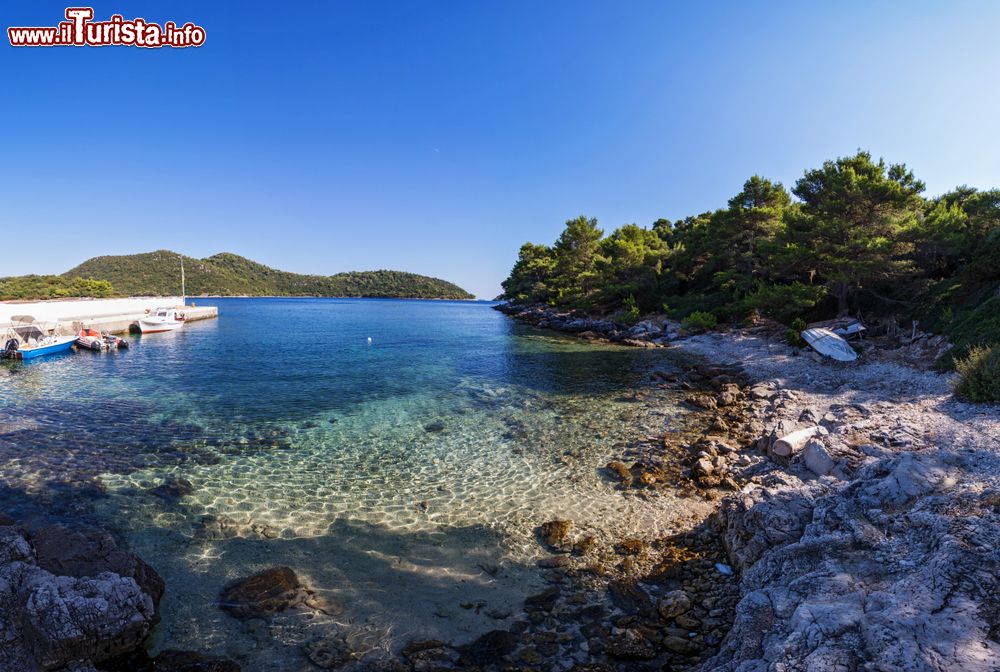 Immagine Una baia sull'Isola di Mrcara (Marchiara) in Dalmazia, sud della Croazia