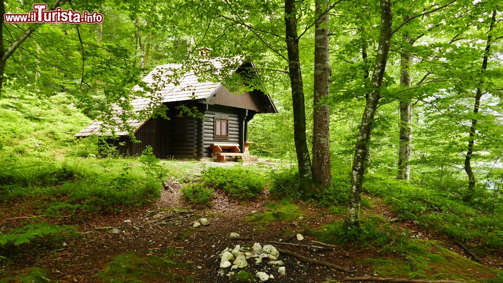 Immagine Una baita in legno nei pressi del lago di Bohinj nell'omonima valle, Slovenia. Siamo nella parte nord-occidentale del paese.