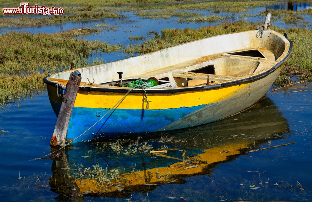 Immagine Una barca colorata nella palude vicino a Comporta, in Portogallo