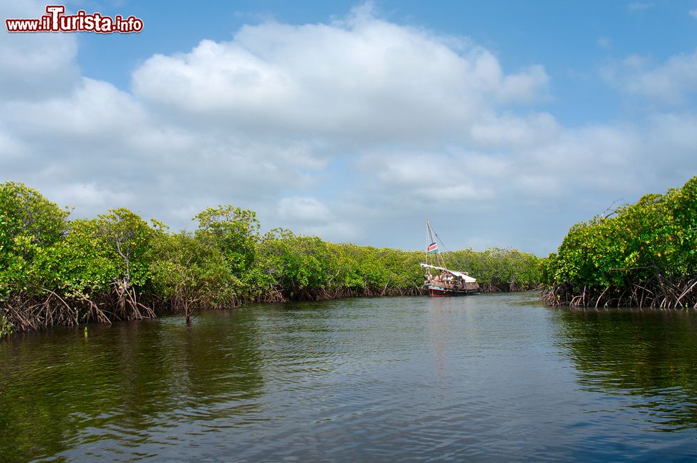 Immagine Una barca nella foresta di mangrovie vicino a Manda Island, distretto di Lamu, Kenya.