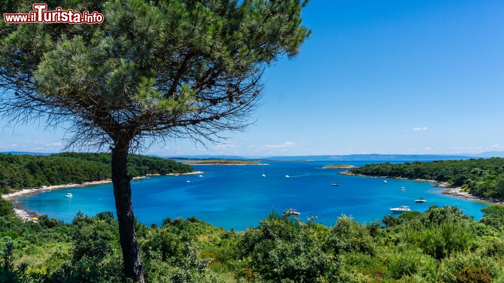 Immagine Una bella baia lungo il parco di Capo Kamenjak, penisola di Premantura in Istria.