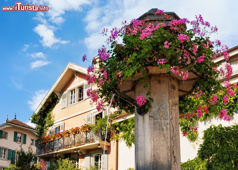 Immagine Una bella fontana con fiori a Vevey, cantone Vaud, Svizzera. Nota anche come "perla della Riviera svizzera", Vevey si distingue per essere una città raffinata con una vista meravigliosa sul panorama alpino.