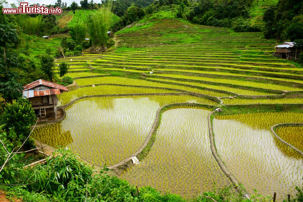 Le foto di cosa vedere e visitare a Mae Sariang