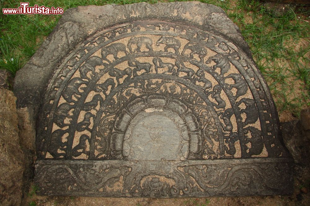 Immagine Una bella pietra della luna decorata a Polonnaruwa, Sri Lanka. La si può ammirare all'ingresso del tempio buddhista.