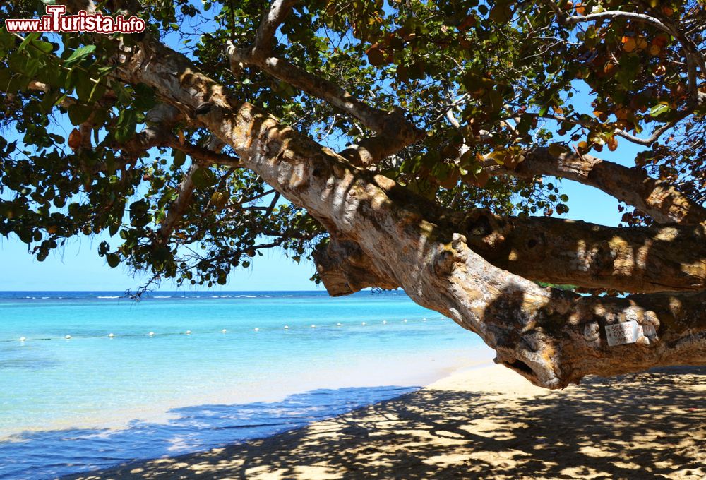 Immagine Una bella spiaggia assolata a Ocho Rios, Giamaica. Conosciuta anche con il nome di Ochie, questa località si trova nella parrocchia di Saint Ann, nel nord dell'isola. A chiamarla Ocho Rios furono gli spagnoli: significa 8 fiumi.